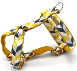 kendog-trapezy-na-miodzie-szelki-guard-m-3cm-45-65cm