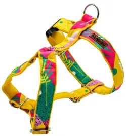 kendog-wakajki-szelki-guard-s-2cm-35-50cm