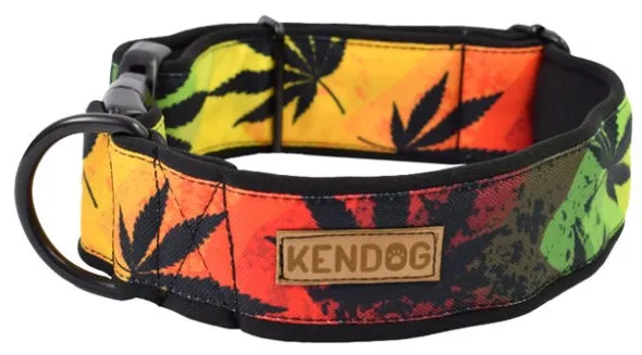 kendog-reggae-obroza-s-2cm-30-45cm