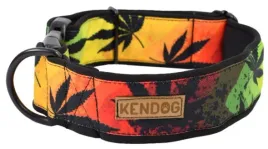 kendog-reggae-obroza-s-2cm-30-45cm