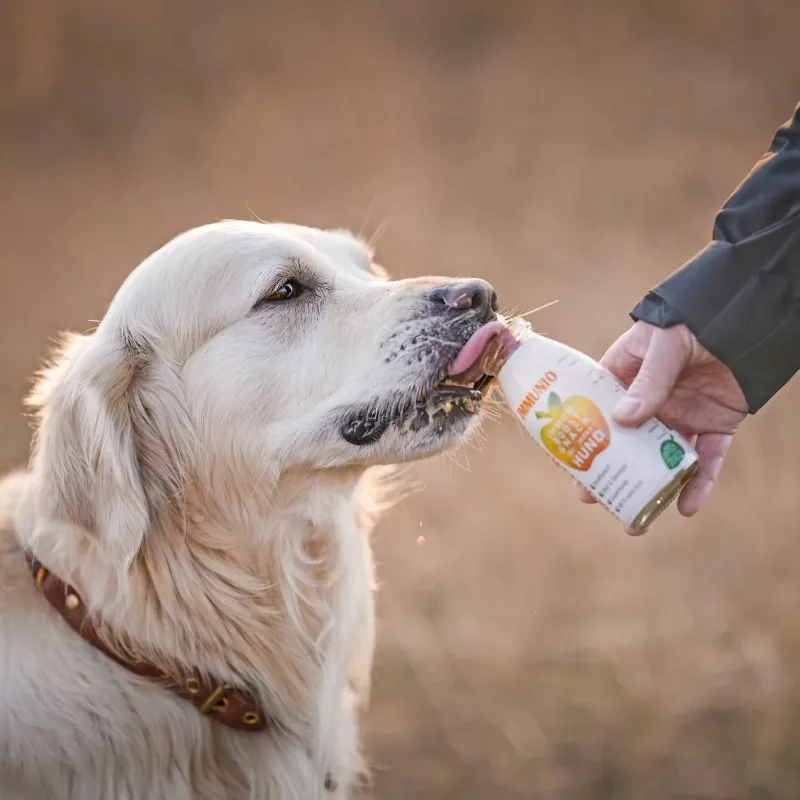 smoothiedog-250ml-immunio-na-odpornosc