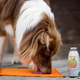 smoothiedog-250ml-immunio-na-odpornosc-rodzaj-inny-stan-nowy