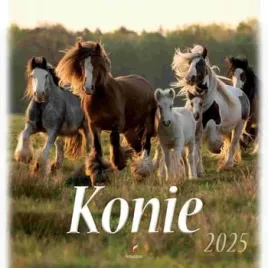 artsezon-kalendarz-wieloplanszowy-konie-33x33-cm