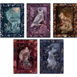 zeszyt-top-2000-fairytale-a5-32-kartek-w-linie-z-marginesem