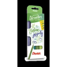 pentel-zestaw-4-pisakow-pedzelkow-ses15c-brush-signpen-zielone-jagody