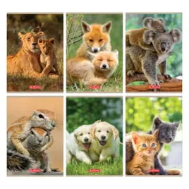 zeszyt-herlitz-a5-32-linia-podwojna-animals