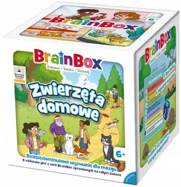 brainbox-zwierzeta-domowe-rebel