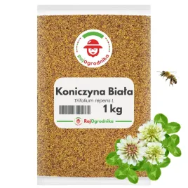 koniczyna-biala-nasiona-miododajna-wieloletnia-odporna-na-susze-1-kg-redum