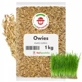 owies-nasiona-na-poplon-rosnie-szybko-i-intensywnie-ziarno-1-kg-redum