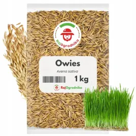 owies-nasiona-na-poplon-rosnie-szybko-i-intensywnie-ziarno-1-kg-redum