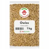 owies-nasiona-na-poplon-rosnie-szybko-i-intensywnie-ziarno-1-kg-redum-rodzaj-rosliny-inny