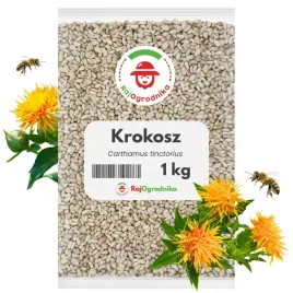 krokosz-barwierski-nasiona-na-poplon-miododajna-roslina-ziarno-1-kg-redum