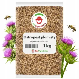 ostropest-plamisty-ziarno-na-poplon-miododajny-nasiona-1-kg-redum