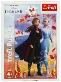 puzzle-54-mini-w-swiecie-anny-i-elsy-2-frozen-2
