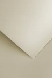 papier-ozdobny-floryda-bezowy-20-arkuszy-250g-200306-galeria-papieru