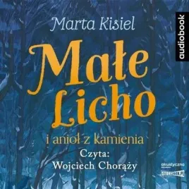 male-licho-i-aniol-z-kamienia-storybox