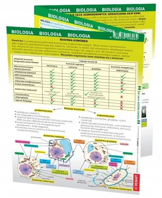 maxi-sciaga-biologia