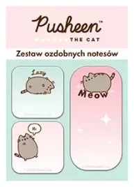 zestaw-3-notesow-ozdobnych-pusheen