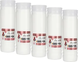 zestaw-wklady-do-zniczy-parafinowe-bispol-wp6n-144h-5szt-zapalki-dabster