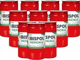 zestaw-wklady-do-zniczy-olejowe-bispol-wo3c-60h-10szt-zapalki-dabster-pl