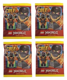 lego-ninjago-minifigure-polybag-4x-cole-2-892408