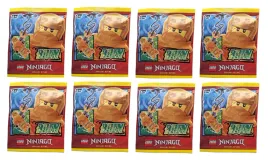 lego-ninjago-minifigure-polybag-8x-arin-892310