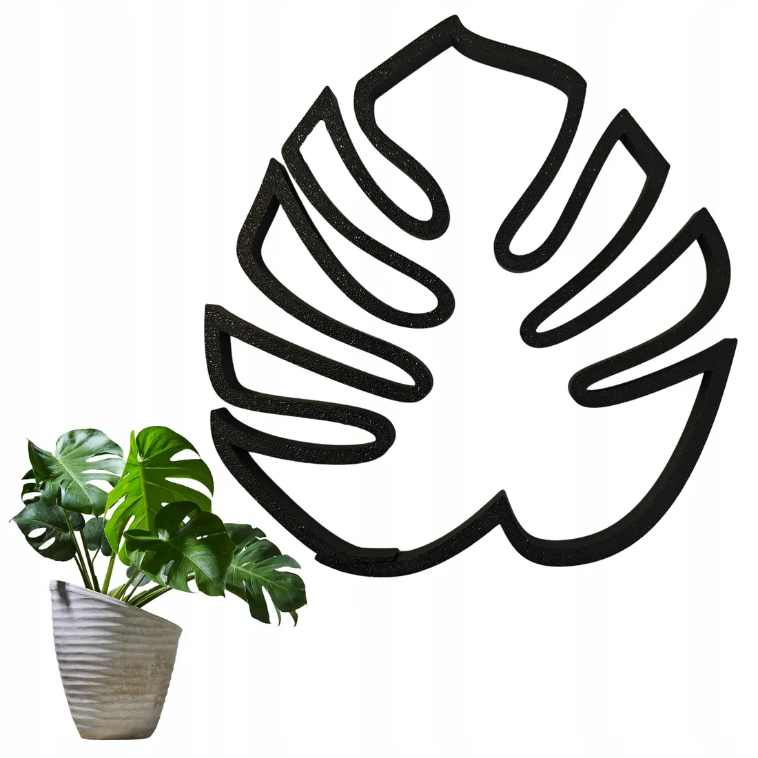 philodendron majestic Philodendron Majestic