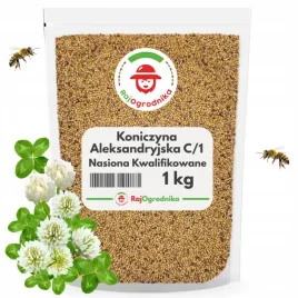 koniczyna-aleksandryjska-c-1-nasiona-kwalifikowane-bardzo-szybki-wzrost-1kg