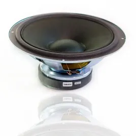 glosnik-gdn25-60-8ohm-25cm-60w-tonsil