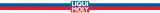 plukanka-liqui-moly-engine-flush-pro-2662-500ml-stan-nowy