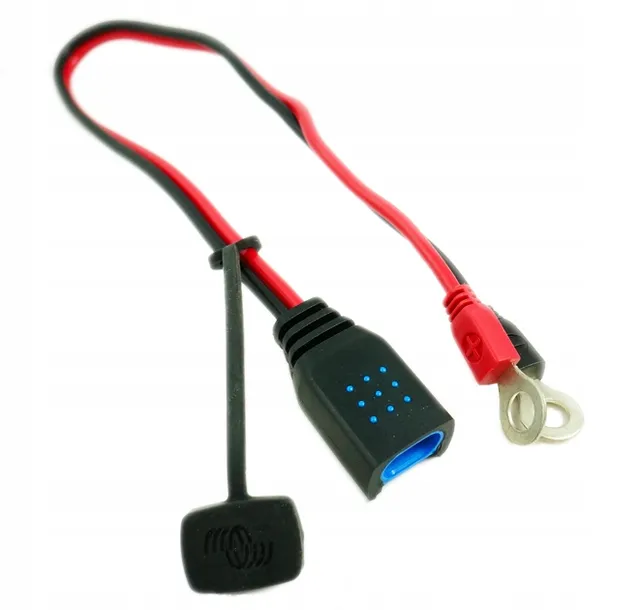 blue-smart-ip65s-charger-12-5-dc-connector-marka-inna-stan-nowy
