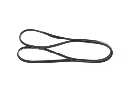 bosch-1-987-947-907-pasek-klinowy-wielorowkowy