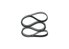 bosch-1-987-946-236-pasek-klinowy-wielorowkowy