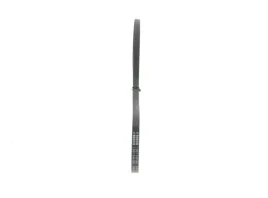 bosch-1-987-946-081-pasek-klinowy-wielorowkowy