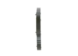 bosch-1-987-946-064-pasek-klinowy-wielorowkowy