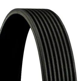 continental-8pk1215-pasek-klinowy-wielorowkowy