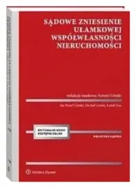 sadowe-zniesienie-ulamkowej-wspolwlasnosci