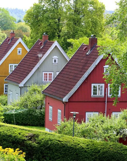 woodex-primer-clear-10l-deklarowana-wydajnosc-12-m-l