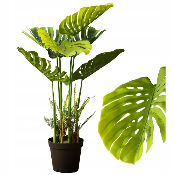 mamei philodendron Philodendron Mamei – Leaf Stork main image 0