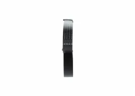 bosch-1-987-947-397-pasek-klinowy-wielorowkowy