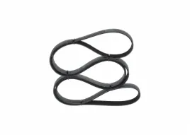 bosch-1-987-946-293-pasek-klinowy-wielorowkowy