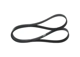 bosch-1-987-946-254-pasek-klinowy-wielorowkowy