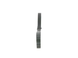 bosch-1-987-946-144-pasek-klinowy-wielorowkowy