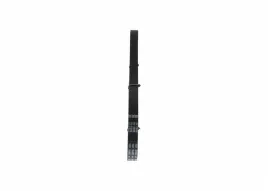 bosch-1-987-946-086-pasek-klinowy-wielorowkowy