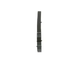 bosch-1-987-947-980-pasek-klinowy-wielorowkowy