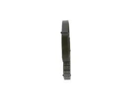 bosch-1-987-947-983-pasek-klinowy-wielorowkowy