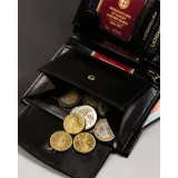 ptn33301-kod-producenta-ptn33301-marka-peterson