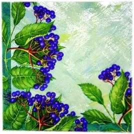 serwetki-trojwarstwowe-33x33-cm-wzor-dzikie-jagody-20-szt
