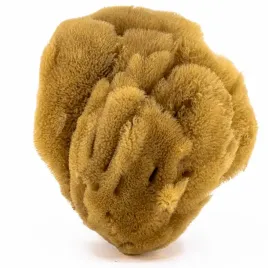 gabka-do-masazu-i-peelingu-naturalna-morska-rozmiar-l-15-16-cm
