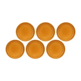 zestaw-6-talerzy-21-cm-z-kamionki-pomarancz-arpeggio-rose-and-tulipani